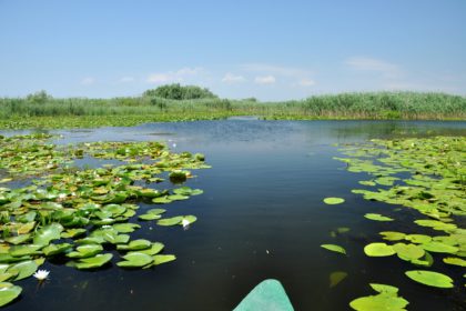 Beautiful lake in Danube delta, Romania