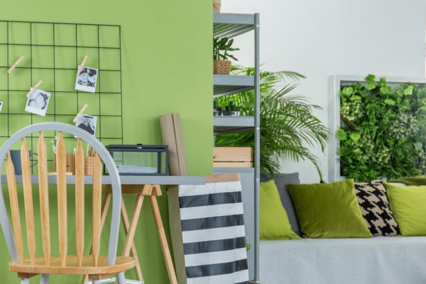 Indoor garden in the room