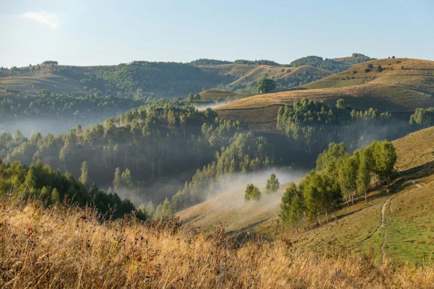 Landscape In Dumesti, Apuseni, Romania