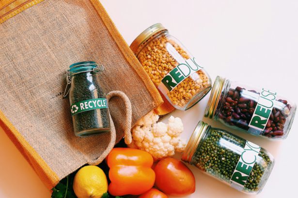 Recycling and sustainable life